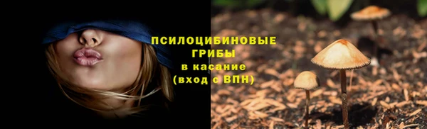 кокаин Белокуриха