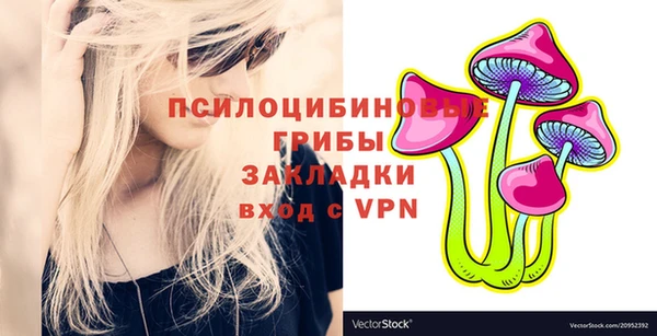 кокаин Белокуриха