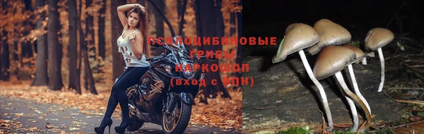 марки nbome Белоозёрский