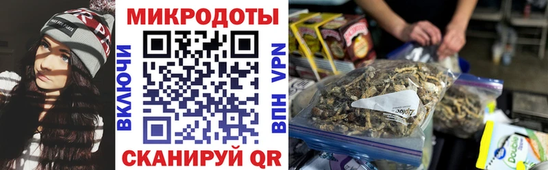 Псилоцибиновые грибы прущие грибы  Невельск 